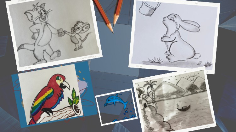 Read more about the article Getting started with Basic Drawing Course