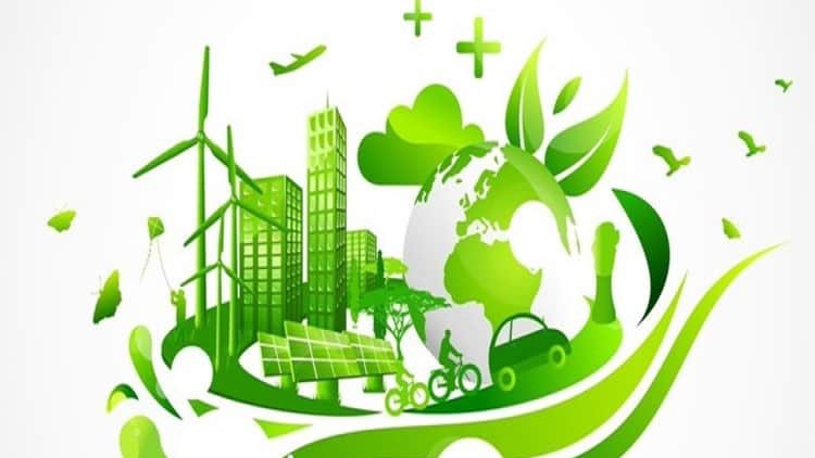 Read more about the article Basic Overview of Green Supply Chain Management