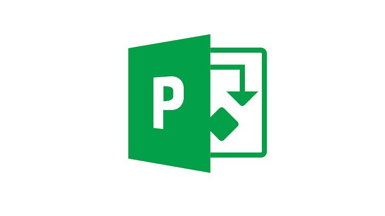 Read more about the article M.S Project For Beginners.