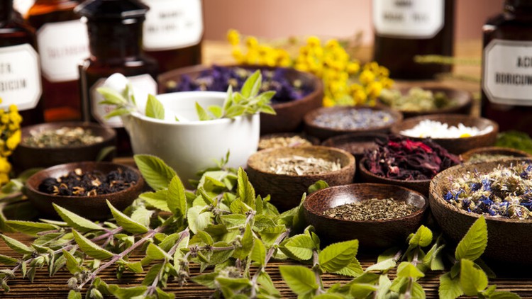 Read more about the article Become a Certified Herbalist