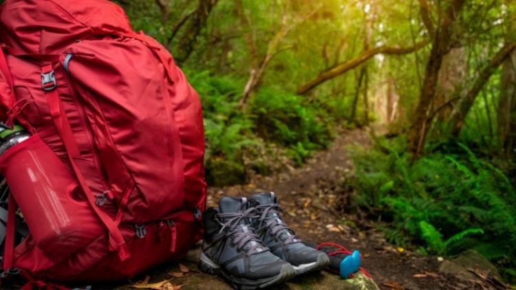 Read more about the article How to Choose the Right Day Hiking Gear