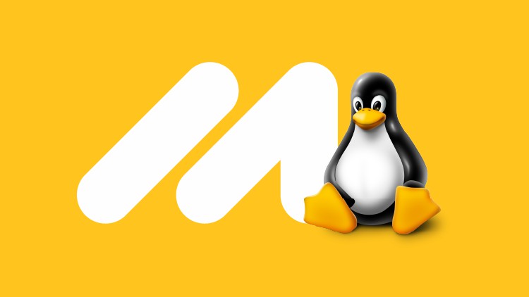 Read more about the article Ultimate Linux Guide with Interview Preparation