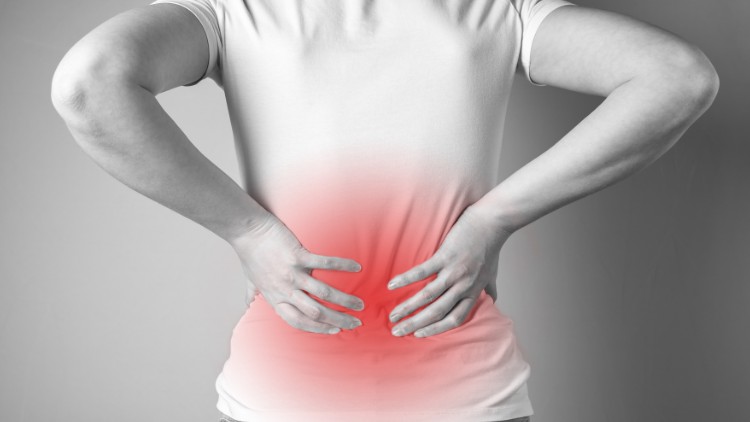 Read more about the article A Guide to Lower Back Pain Relief (Asanas & Exercises)