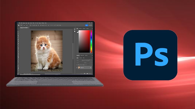 Read more about the article Adobe Photoshop CC 2022 For Absolute Beginner to Advanced