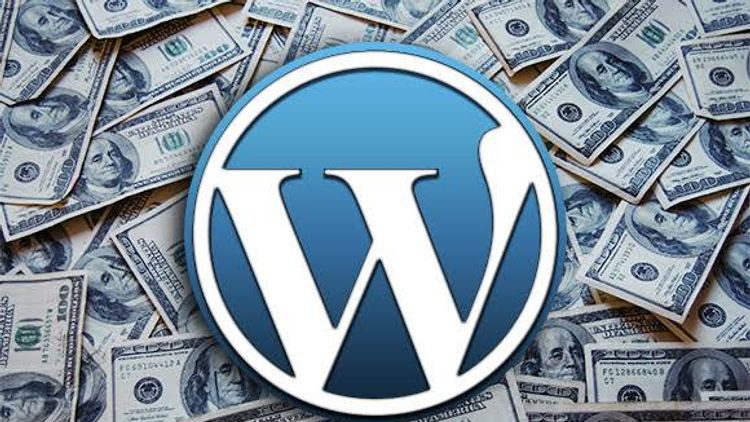 Read more about the article WordPress Full guide 2022, develop investment website