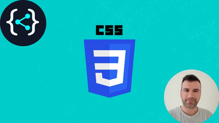 Read more about the article CSS Flexbox Course (2022)