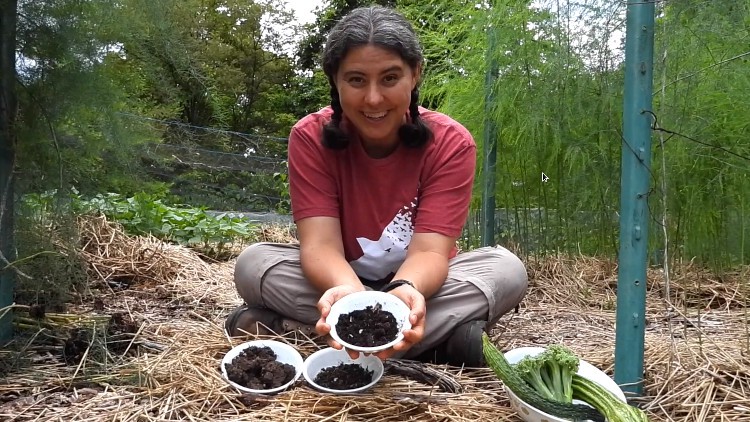 Read more about the article Soil-First Gardening: How to Grow Black Gold in the Backyard