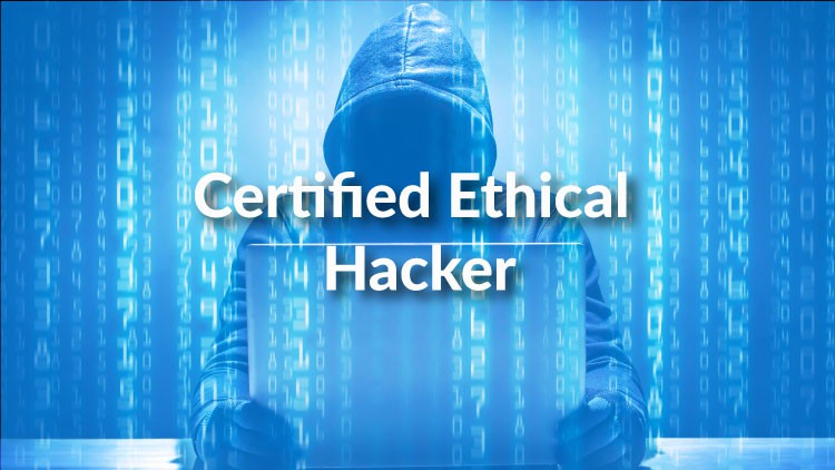 Read more about the article Certified Ethical Hacker v11 Practice Questions