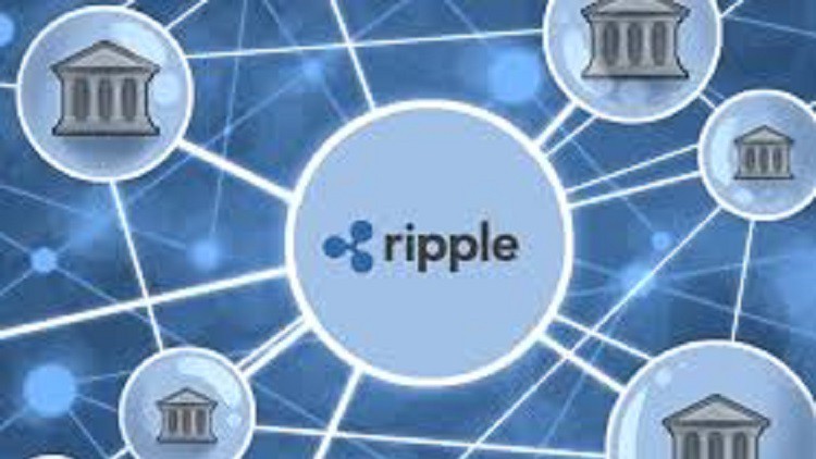 Read more about the article Ripple development and training suit – Part 2