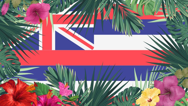 Read more about the article Basic Hawaiian Grammar