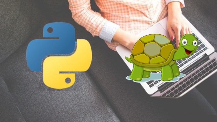 Read more about the article Python Turtle in Hindi