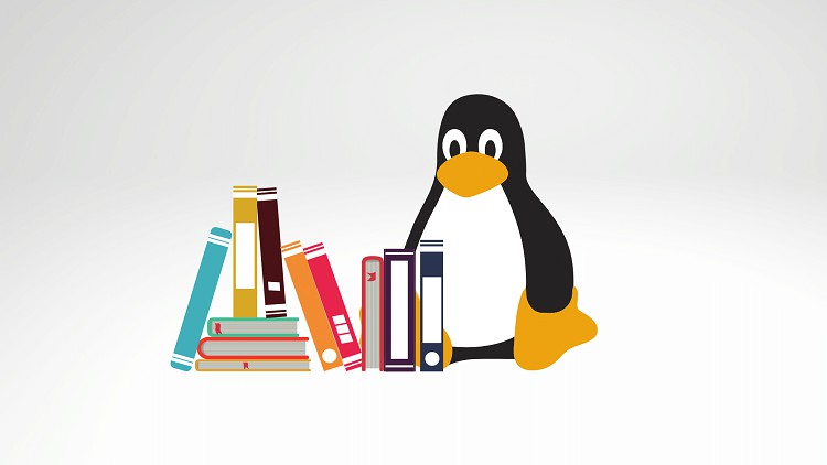 Read more about the article The Basics of Linux Command Line