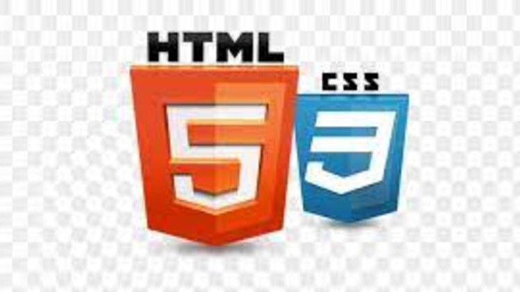 Read more about the article HTML + CSS Basics