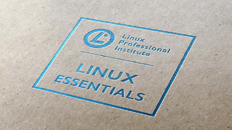 Read more about the article LPI Linux Essentials 010-160 Certification Exam Practice