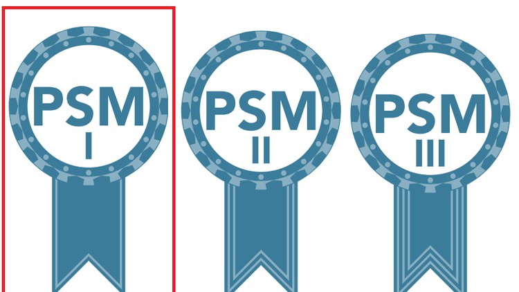 Read more about the article Professional Scrum Master-PSM1 Practice Exam Questions 2022