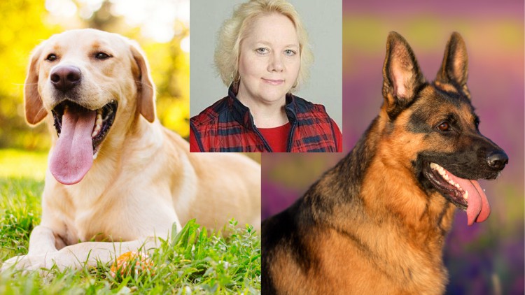 Read more about the article Dog Breed Decision-Making