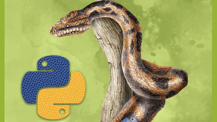 Read more about the article Learn Python and Become Professional Python Developer
