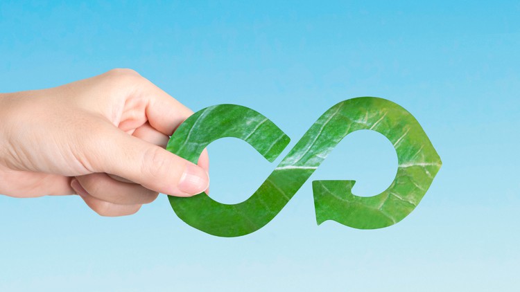 Read more about the article What is Circular Economy & How Does It Work?