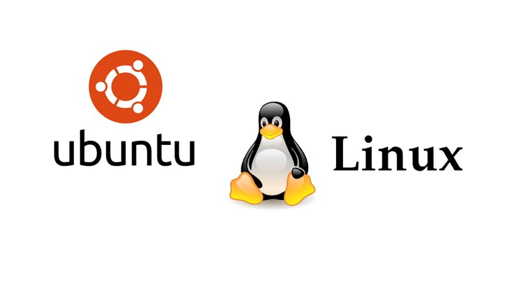Read more about the article How to Install Ubuntu Linux on a Virtual Machine