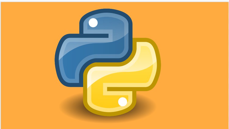 Introduction to Python Programming - StudyBullet.com