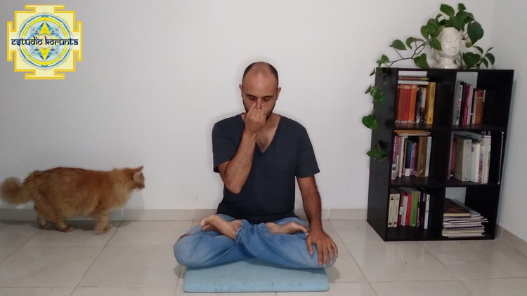 Read more about the article Pranayama: The Art of Yogic Breath