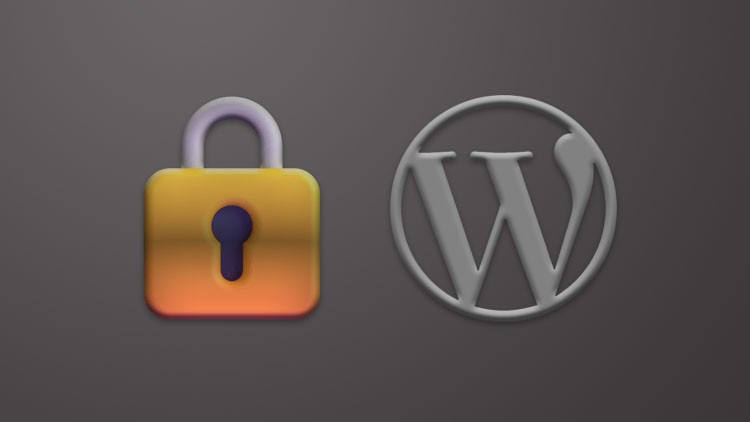 Read more about the article Secure Your WordPress Website For Beginners