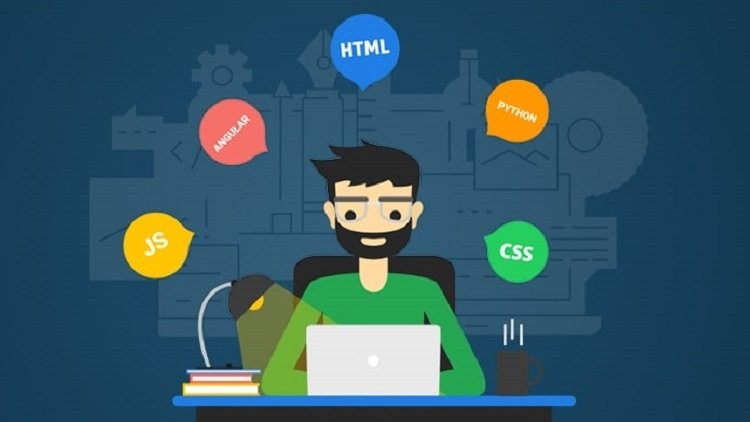 Read more about the article Web Development Beginner's Course