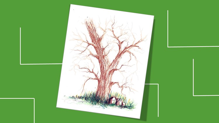 Read more about the article Draw trees in different mediums
