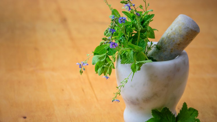 Read more about the article Herbalism for Healthcare Professionals