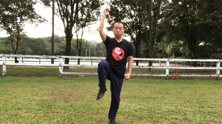 Read more about the article 8 Basic Tai Chi Movements for Better Balance, Reduces Falls