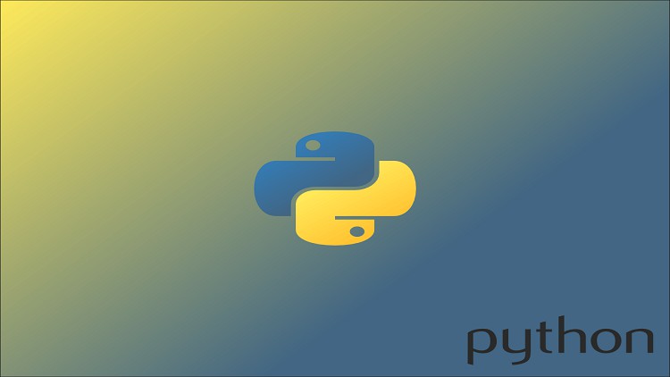Read more about the article Extensive Python Fundamentals in 4 Weeks