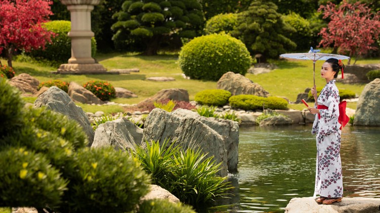Read more about the article Feng Shui Garden/Landscape Practitioner Course