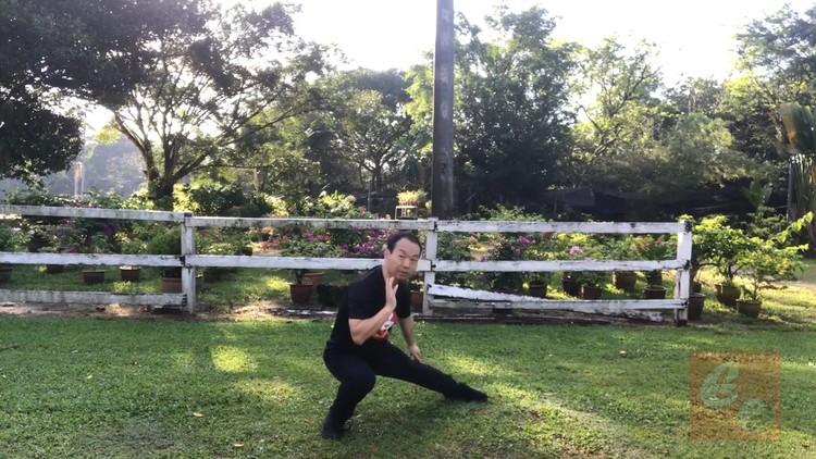 Read more about the article Authentic Fighting Tai Chi-Chen New Frame Routine (XinJia) 1
