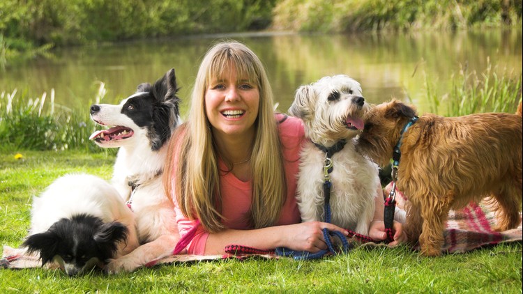 Read more about the article Dog Training – Stop Dog Barking – Easy Dog Training Methods