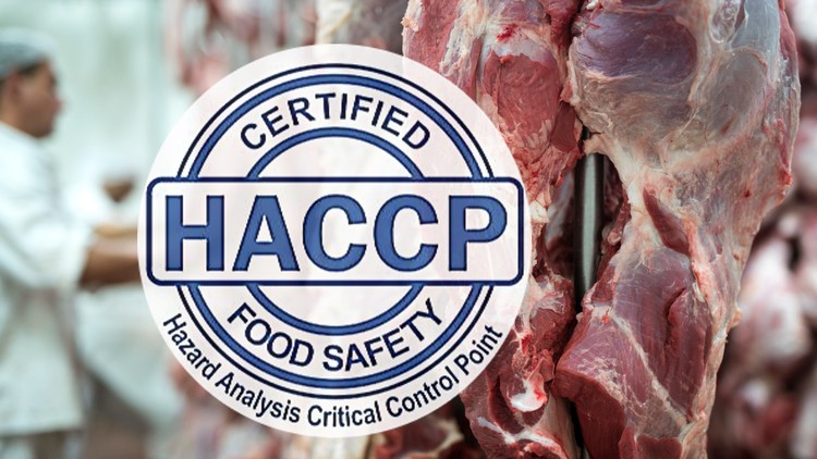 Read more about the article HACCP (ISO 22000) & HAZOP Professional Certification Prep