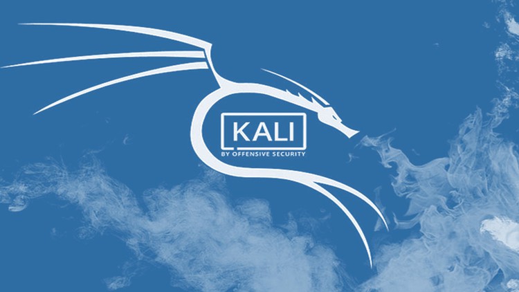 Read more about the article (Kali Linux) 2020.4 Optimization before hacking