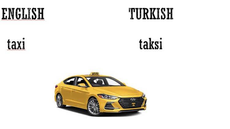 Speak Turkish Within Hours