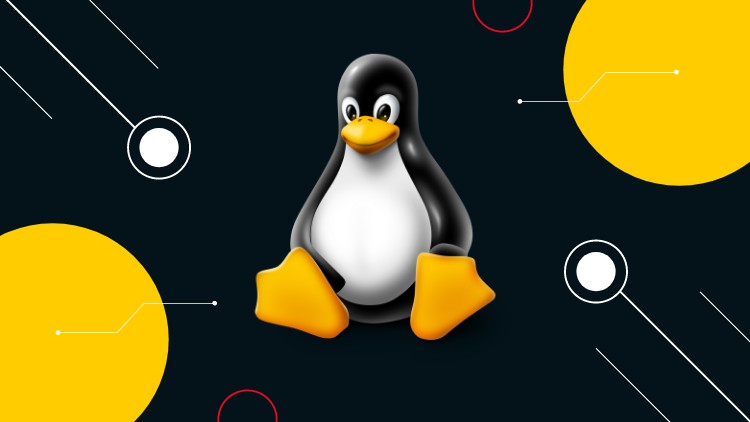 Read more about the article Learn Linux and Shell Scripting From Basic To Advanced