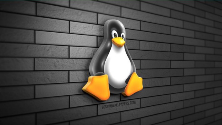 Read more about the article Mastering Linux Privilege Escalation