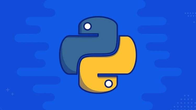 Read more about the article Learn Python From The Scratch and prepare with Projects