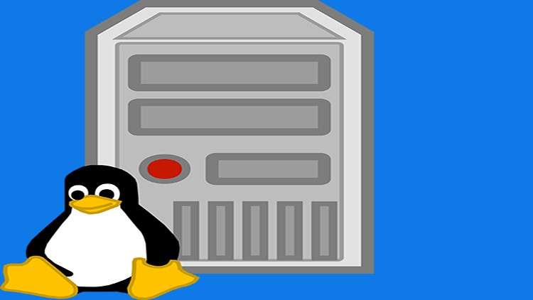 Read more about the article Linux Command-Line & Shell Scripting for Absolute Beginners