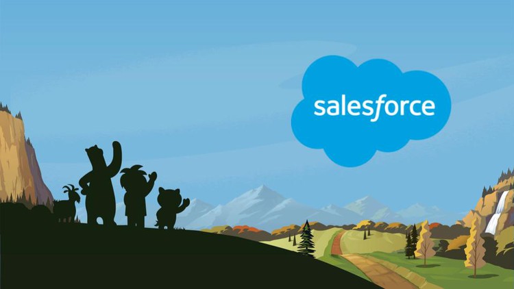 Read more about the article Salesforce Essentials – The Complete Bootcamp