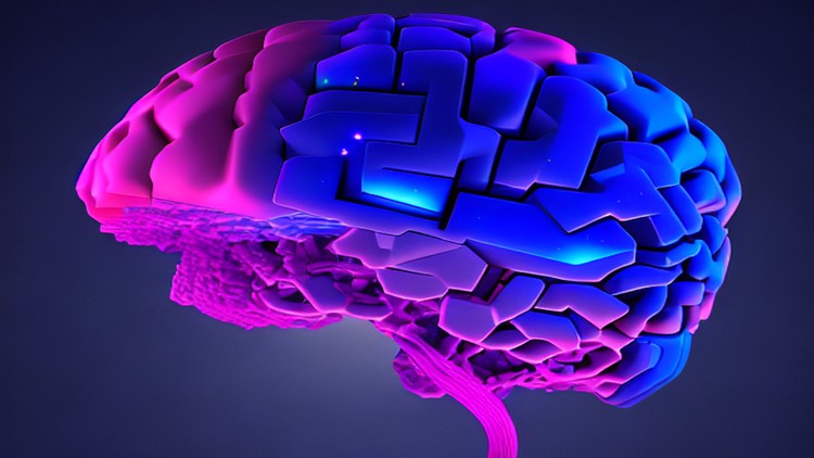 Read more about the article Neuroplasticity: Transforming the Learning Experience