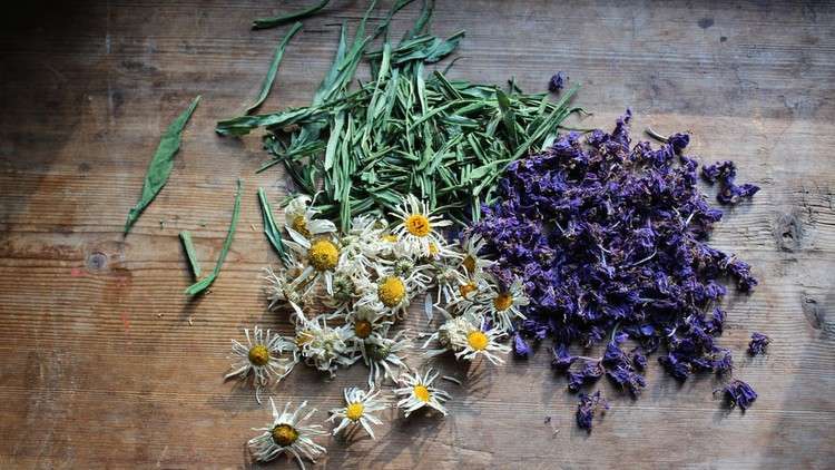 Herbalism: Herbs For Anxiety, Depression & Insomnia