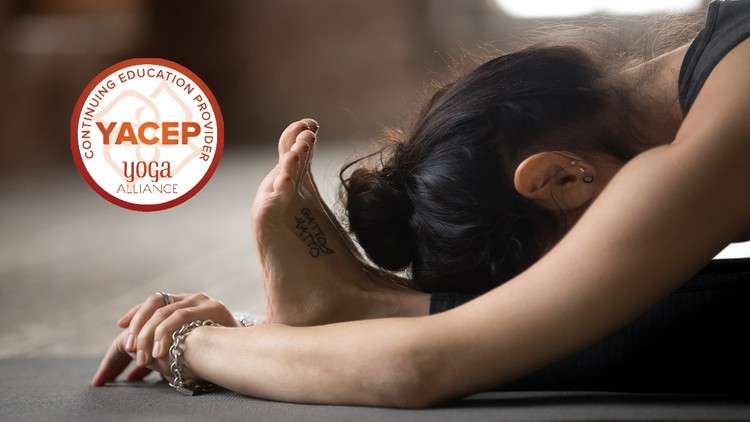 Read more about the article Yin Yoga Training Certificate – Yoga Alliance YACEP