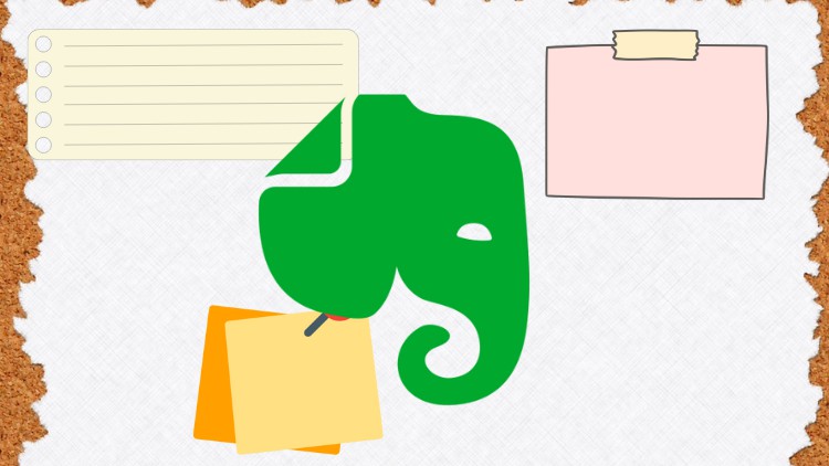 Read more about the article Learning Evernote from Scratch