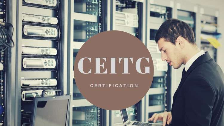Certified in Enterprise IT Governance