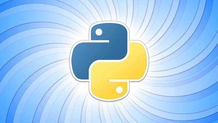 Read more about the article Python Fundamentals: Beginner’s Guide to Coding with Python