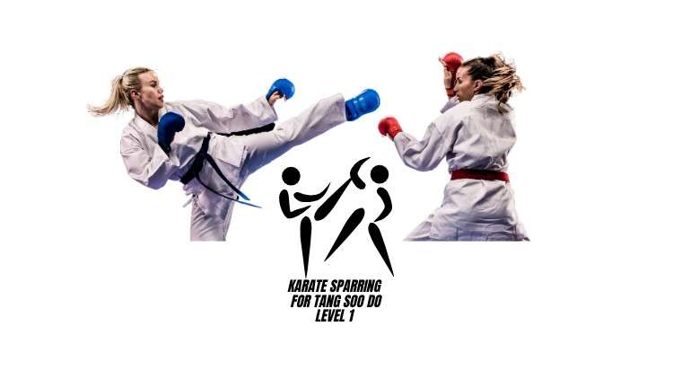 Karate Sparring Level 1