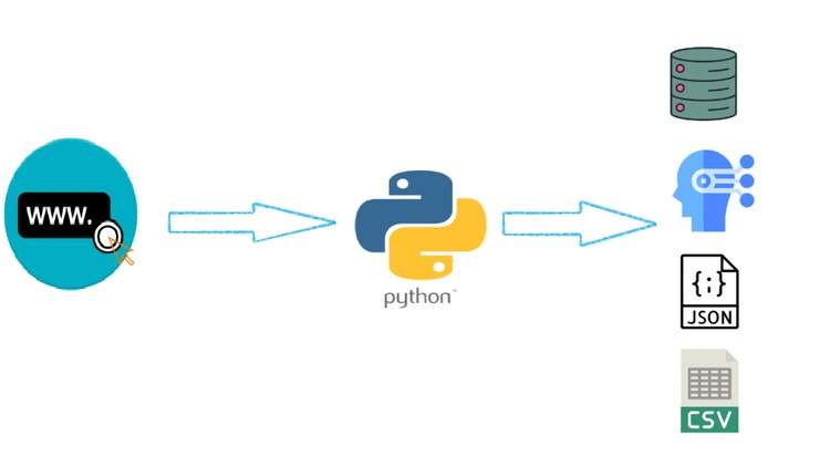 Read more about the article The Ultimate Web Scraping With Python Bootcamp 2024